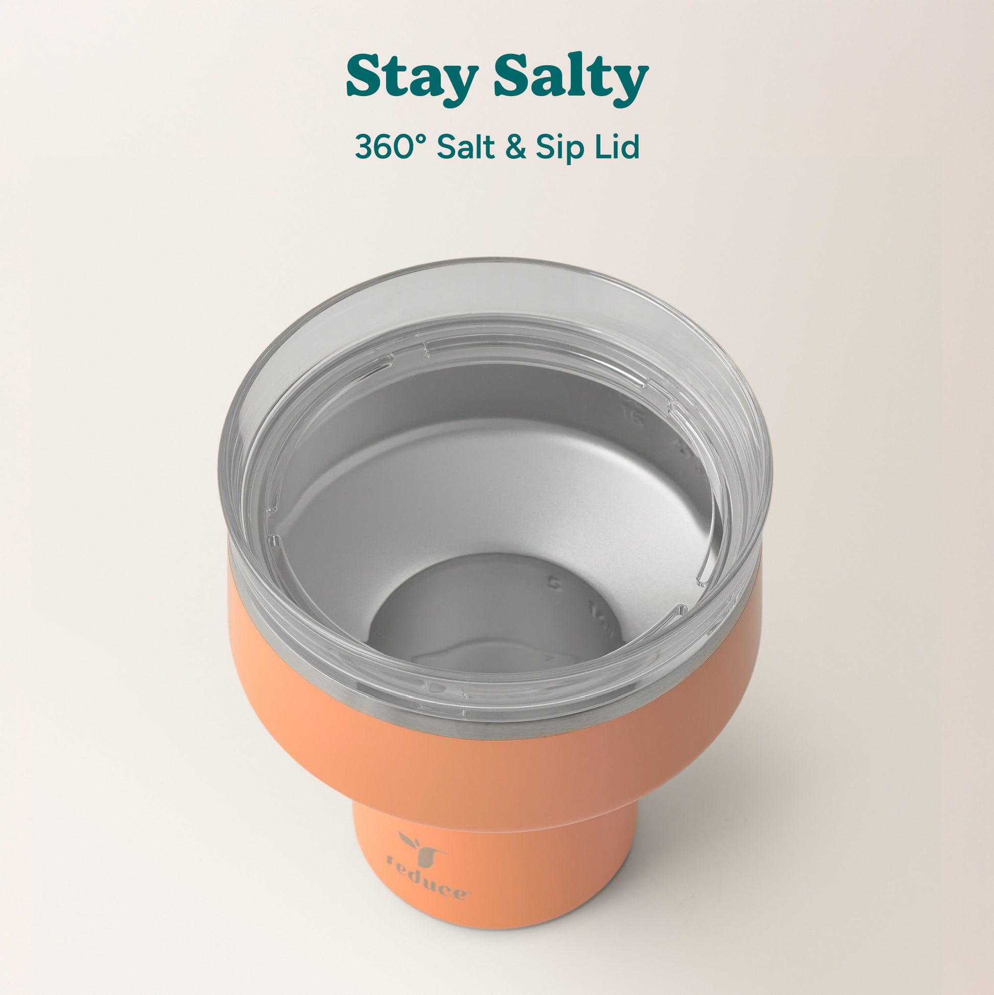 Saltini 16 oz - Reduce Everyday